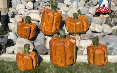 Pumpkin Assortment