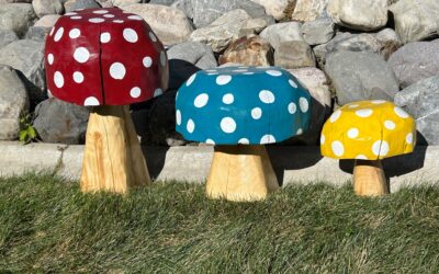 Colorful Mushrooms Set