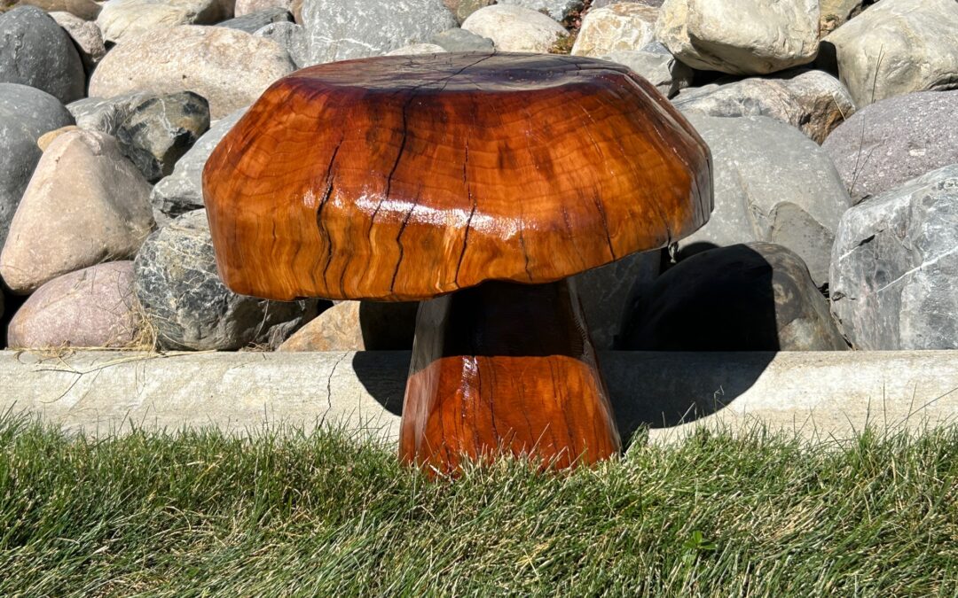 Cherrywood Mushroom