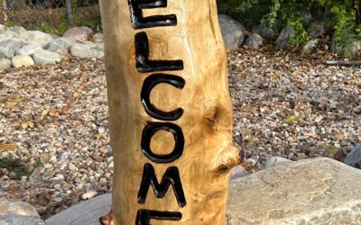 Welcome Log